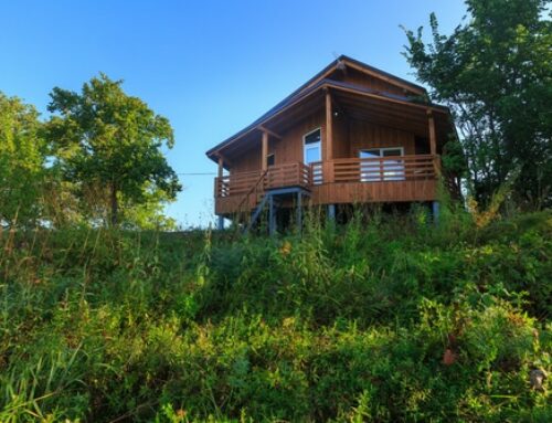 9 Reasons Why a Cabin Rental Is Perfect for Your Next Family Vacation